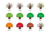 Calendrier Tree 2027 Good Morning