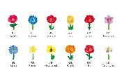 Calendrier Flower 2027 Good Morning