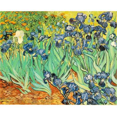Roller Van Gogh Iris Visconti
