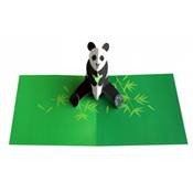 Carte Pop Up Panda