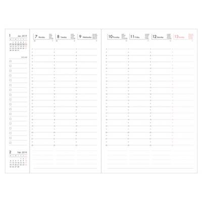 Agenda B6 Mark's Jungle 2023