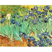 Stylo Plume Van Gogh Iris Visconti